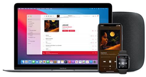 Can You Listen to Books on Apple Music? An Insight into the AudioVerse of iOS Music Streaming Platform