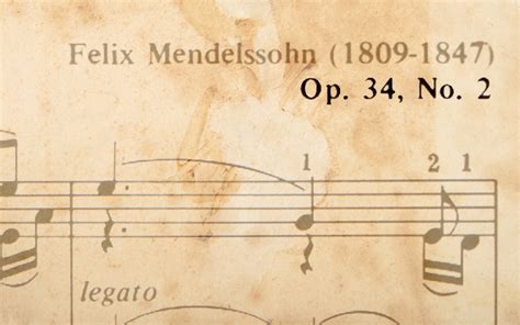 opus meaning in music: The Symphony of Numbers