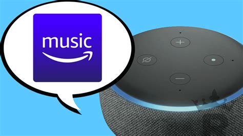 Why Won't Alexa Play Music, and the Intricate Web of Factors Behind Digital Audio Disruptions